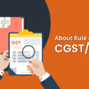 about rule 42 and 43 of cgst sgst rules