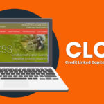 CLCSS - Credit linked capital subsidy scheme