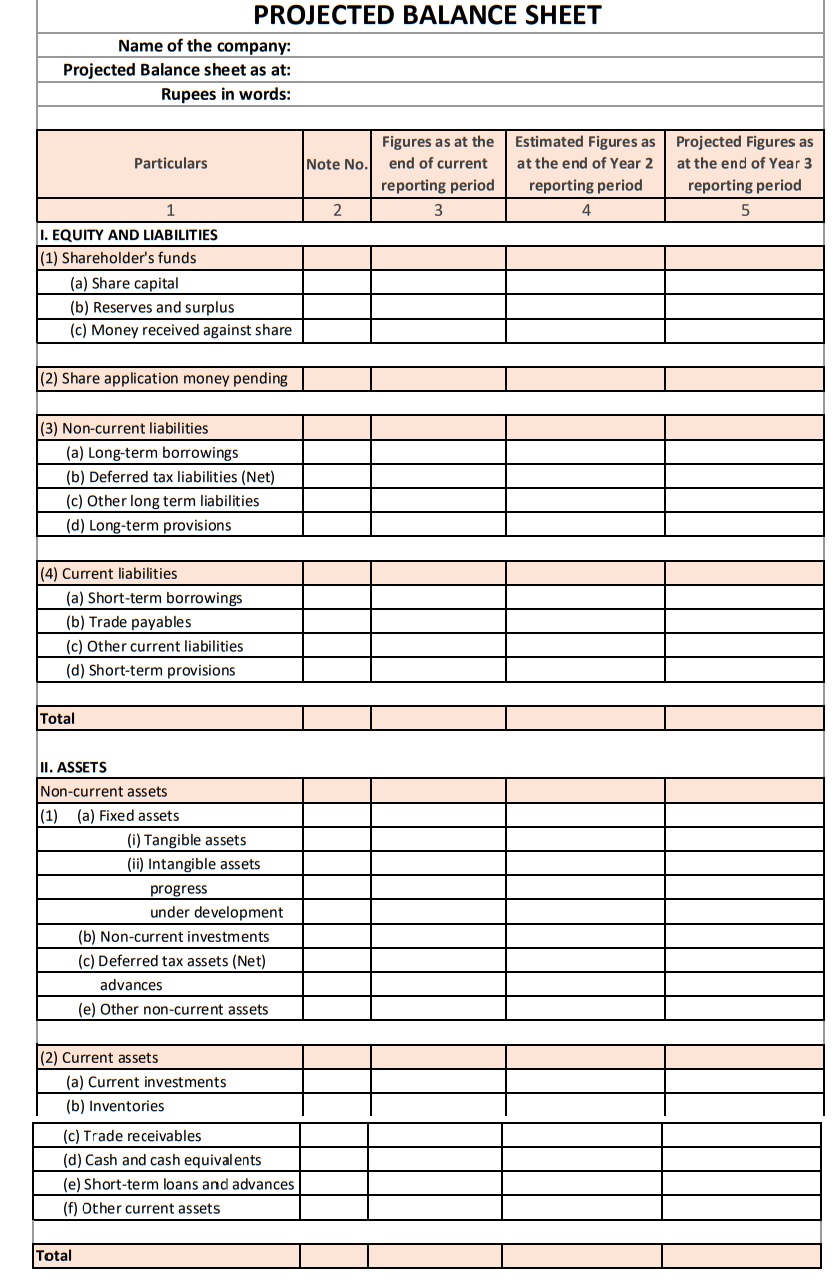 Sample of Projected Balance Sheet Format