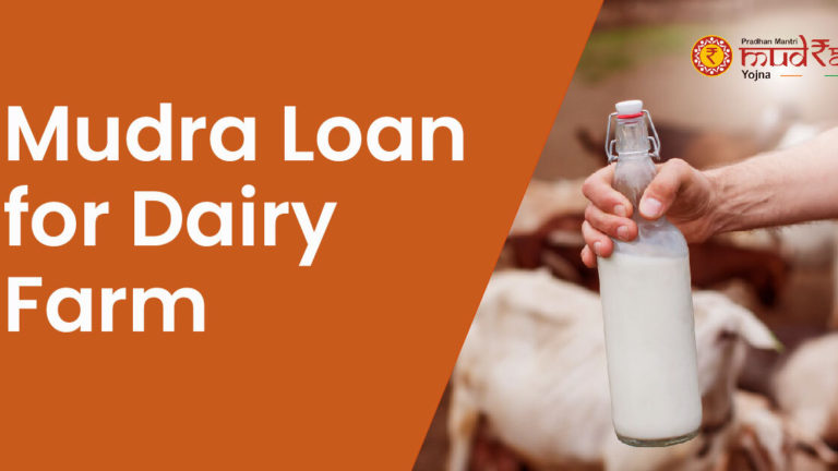 govt loan for dairy farming