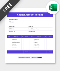 Capital Account format excel