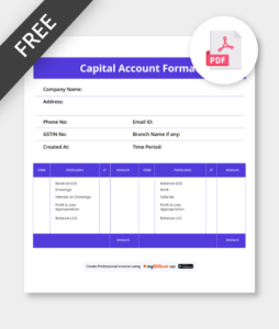 Capital Account format pdf