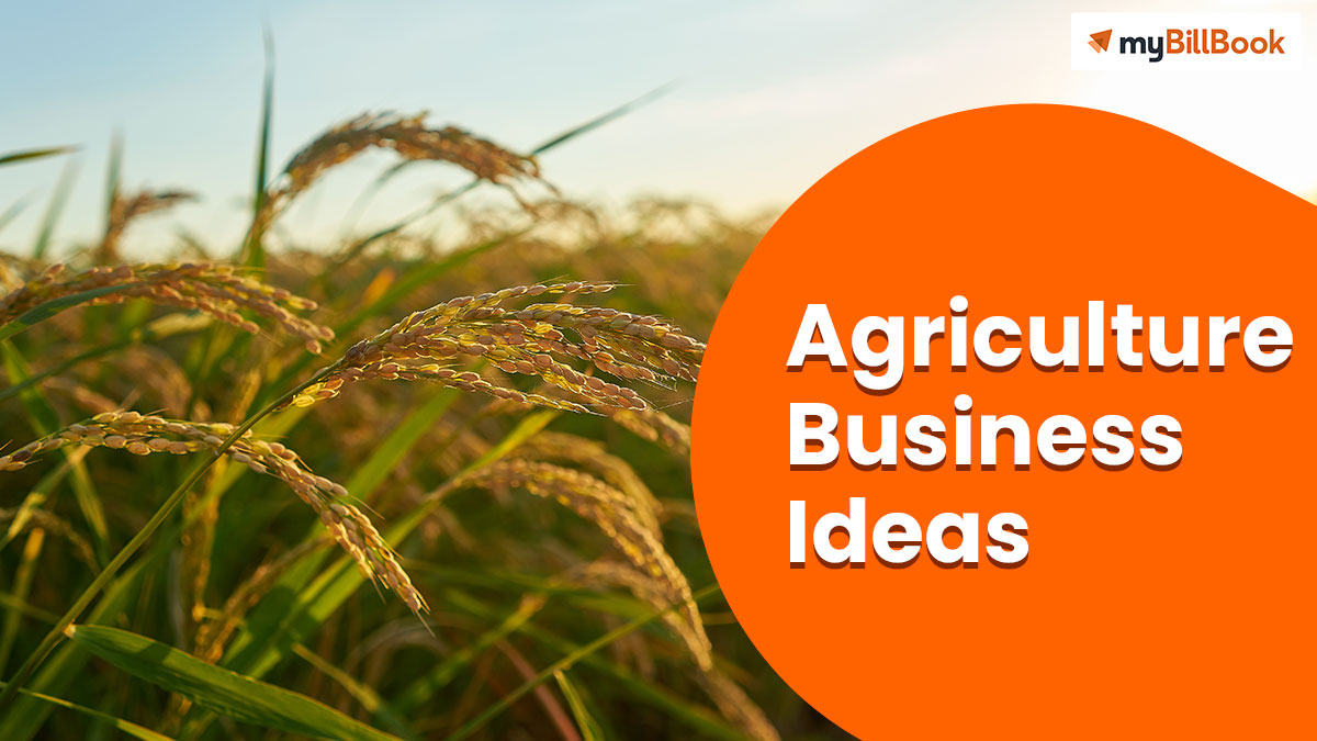 10 Agricultural Business Ideas in 2023 | India