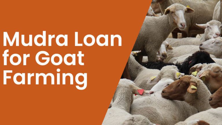 Mudra Loan for Goat Farming