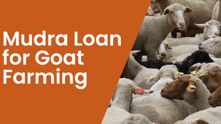 goat-farming-loan-subsidy-mudra-loans-for-goat-farming